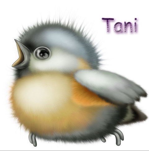 Классные отрисовки из галереи Tani