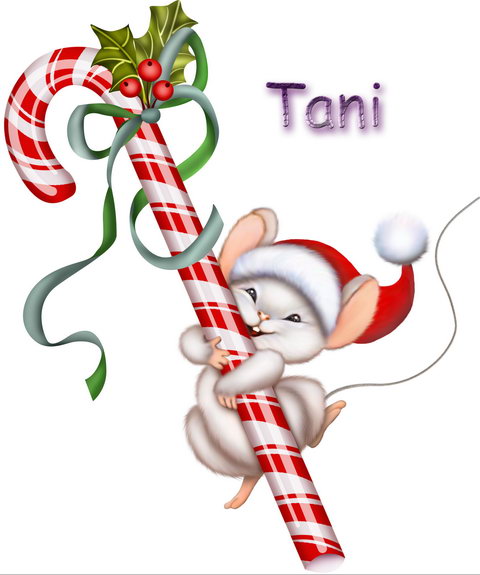 Классные отрисовки из галереи Tani